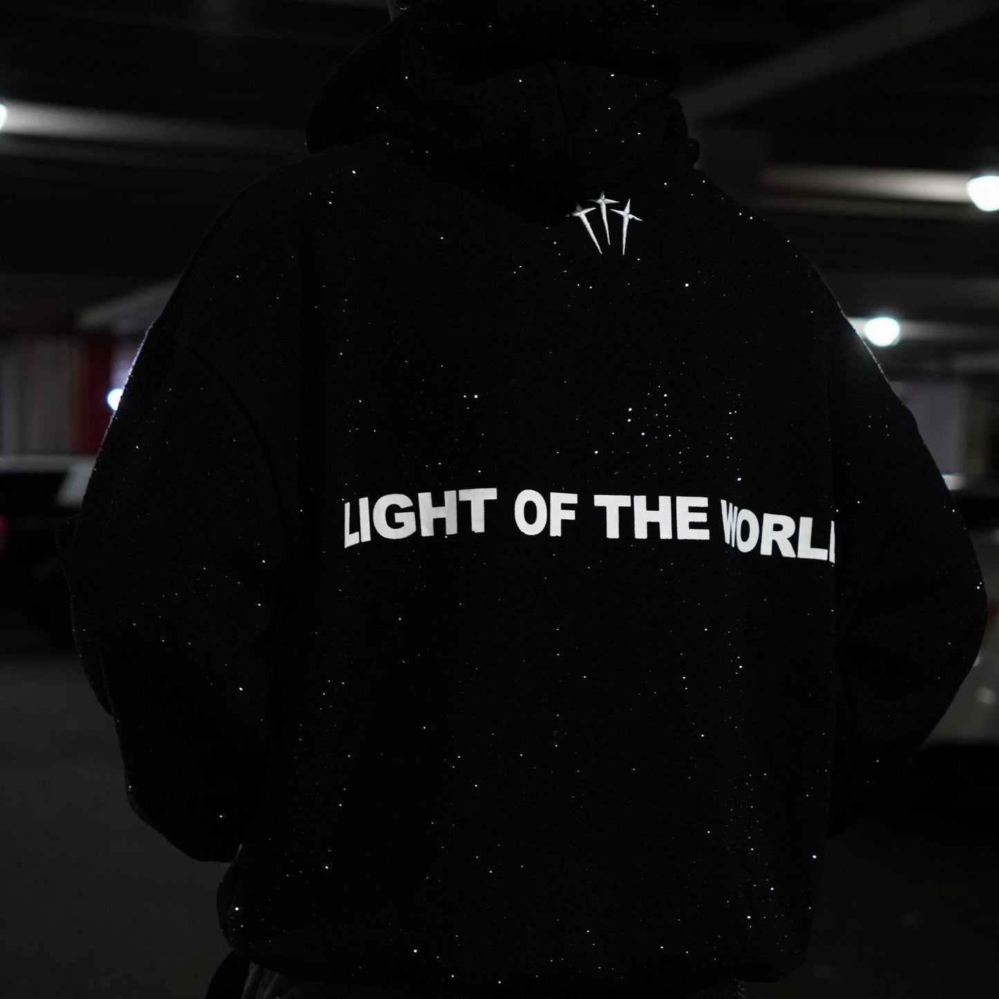 Aphea™ Jesus-In-The-Light Rhinestone Hoodie